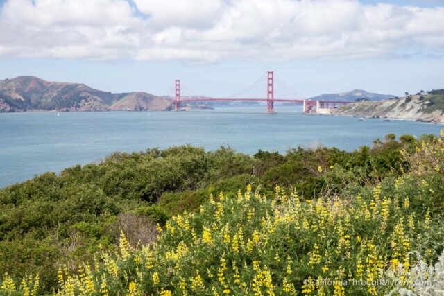 Lands End Lookout in San Francisco - Gaze Out Into the Gulf of the  Farallones – Go Guides