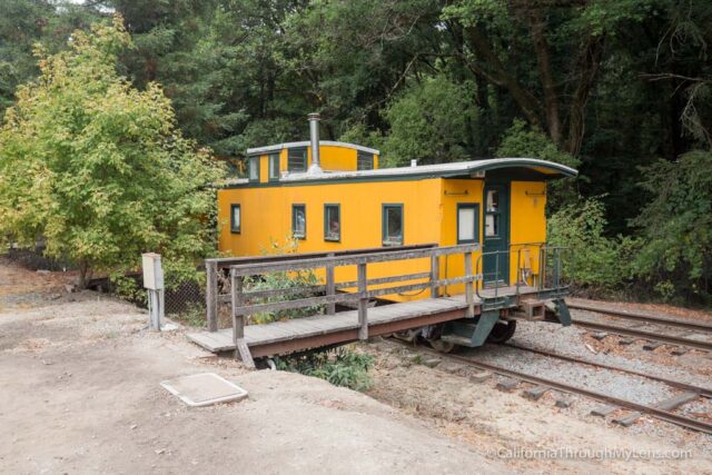 roaring camp train ride-4