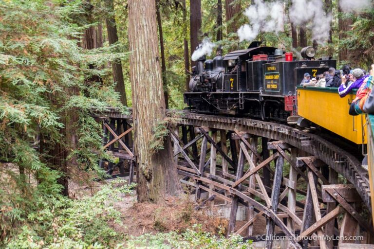 Roaring Camp & Big Trees Railroad: Riding a Steam Engine Through the Redwoods