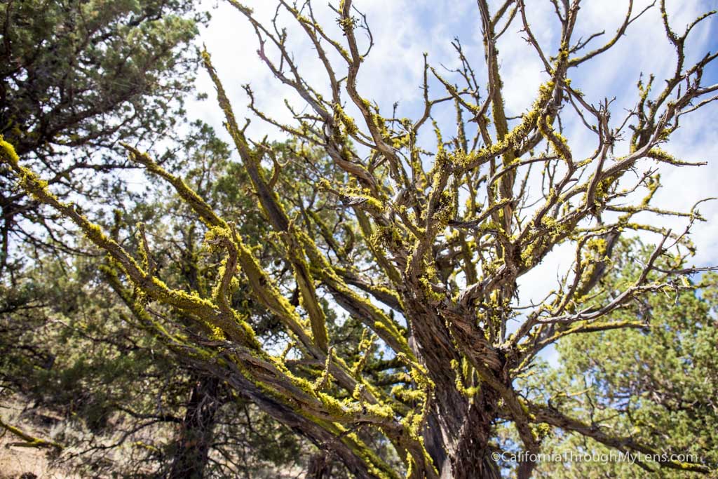 Schonchin Butte Fire Lookout in Lava Beds National Monument