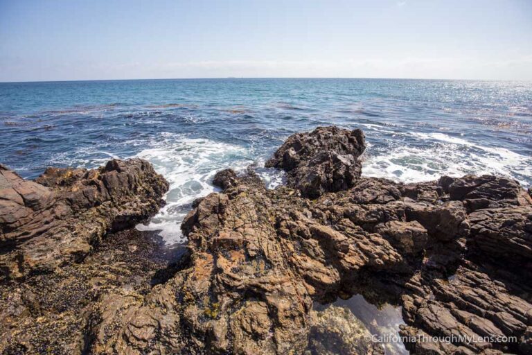 Abalone Cove Preserve: Beach Hiking & Tide Pools in Rancho Palos Verde ...