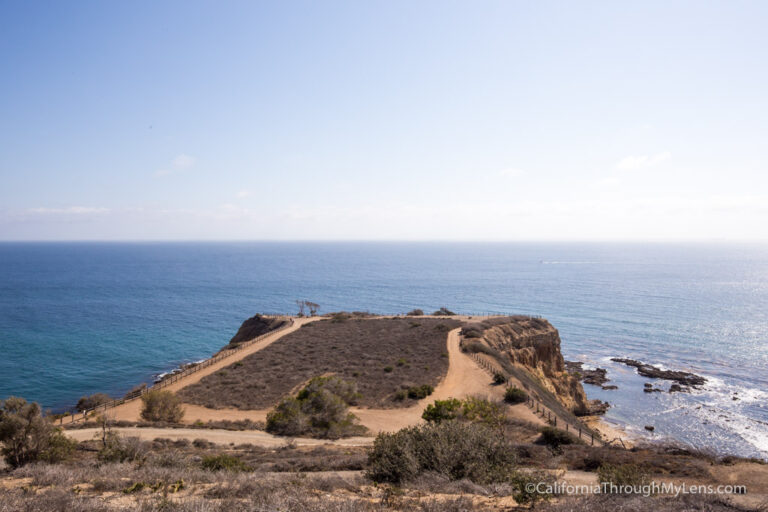 Abalone Cove Preserve: Beach Hiking & Tide Pools in Rancho Palos Verde ...