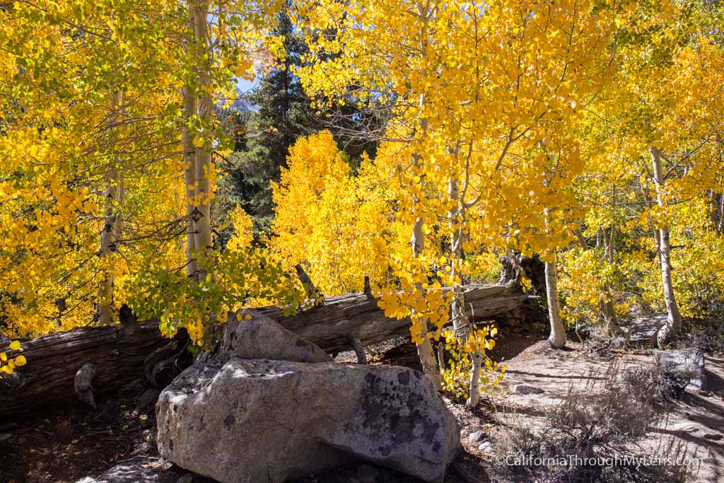 North Fork of Big Pine: Backpacking to the Glacial Lakes - California ...