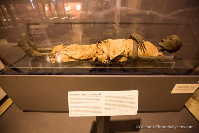 egyptian museum-13