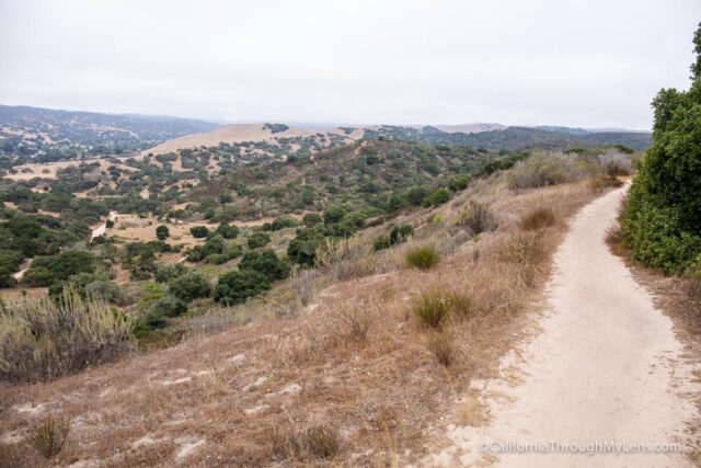 Fort Ord National Monument: Hiking from the Creekside Terrace Trailhead 