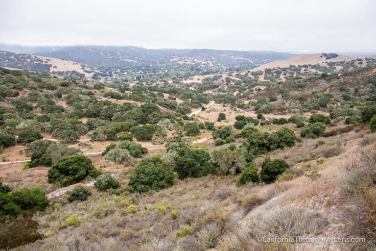 Fort Ord National Monument: Hiking from the Creekside Terrace Trailhead