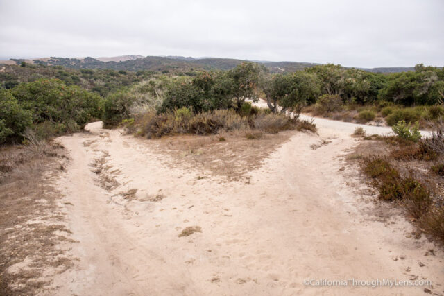 fort ord national monument hiking-15