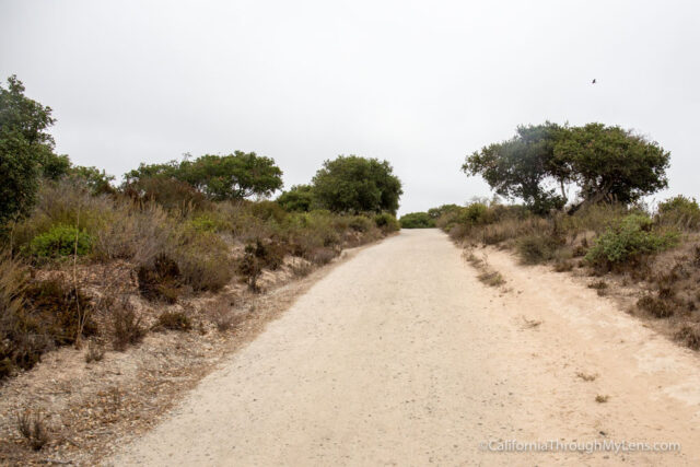 fort ord national monument hiking-16