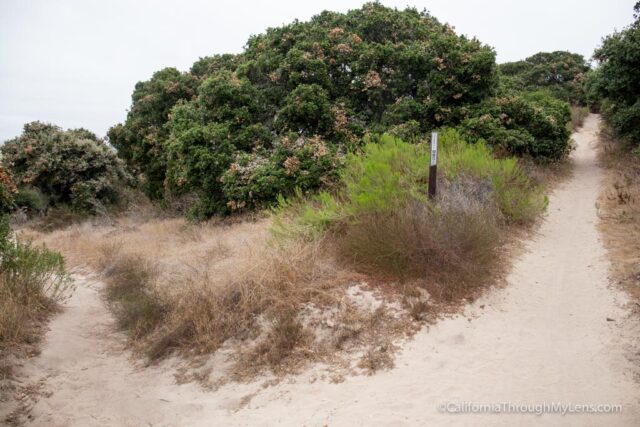 fort ord national monument hiking-19