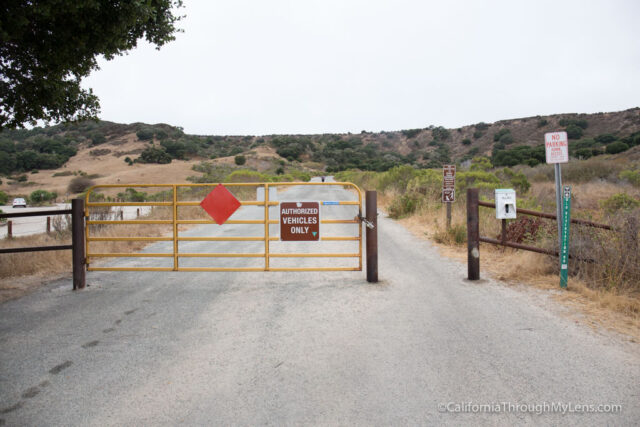 fort ord national monument hiking-2