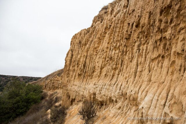 fort ord national monument hiking-22