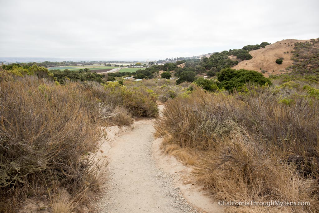 Fort Ord National Monument: Hiking from the Creekside Terrace Trailhead 