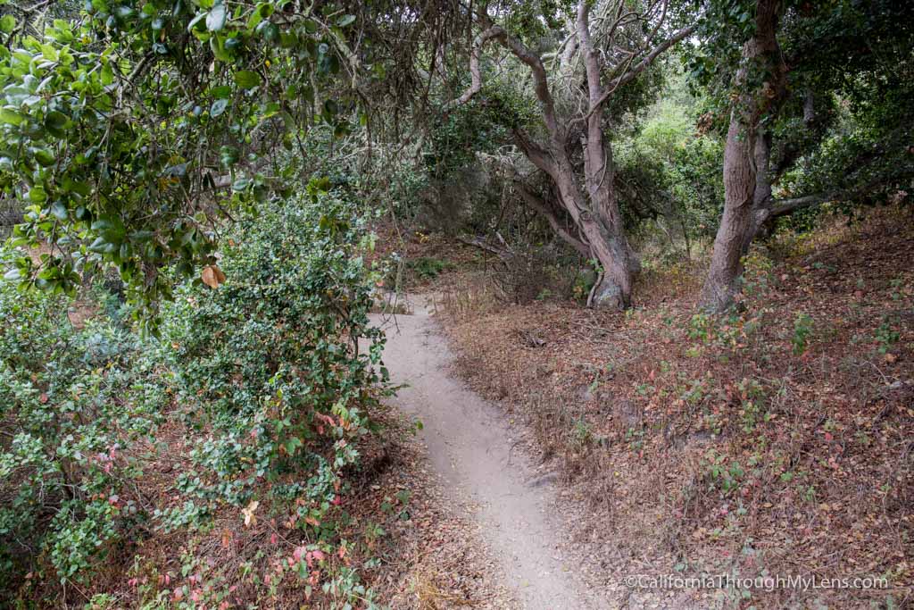 Fort Ord National Monument: Hiking from the Creekside Terrace Trailhead ...