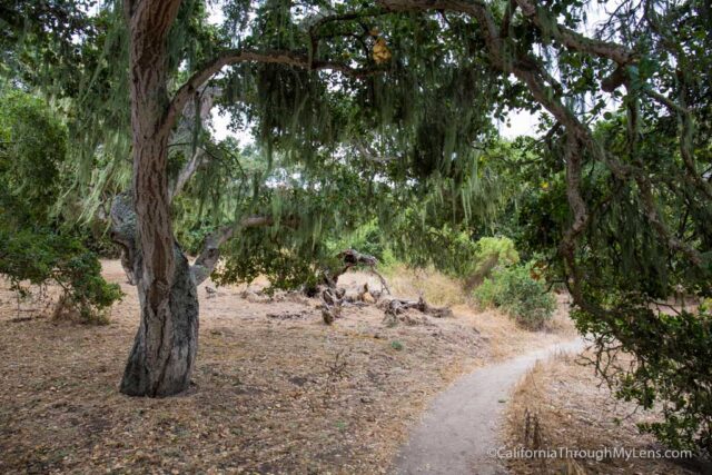 fort ord national monument hiking-5