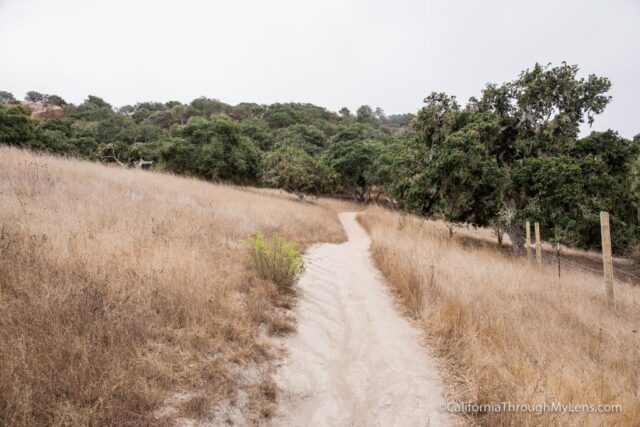 fort ord national monument hiking-6