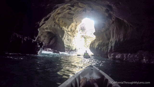 kayaking-la-jolla-10