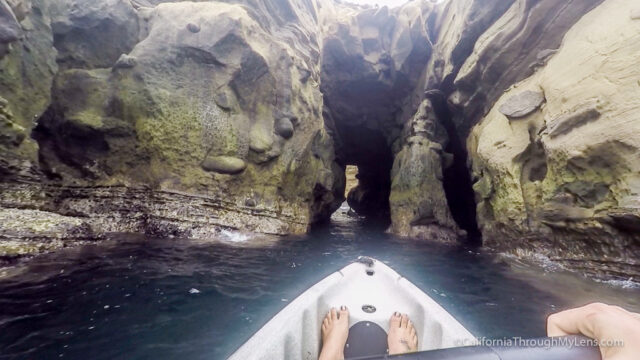 kayaking-la-jolla-8