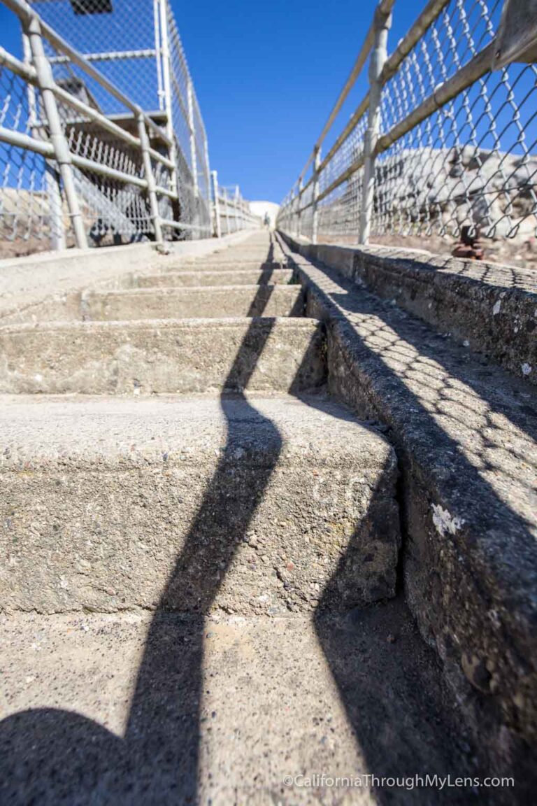 Lighthouse Point Reyed Steps Point Reyes Lighthouse: One of California's Most Beautiful Coastal ...