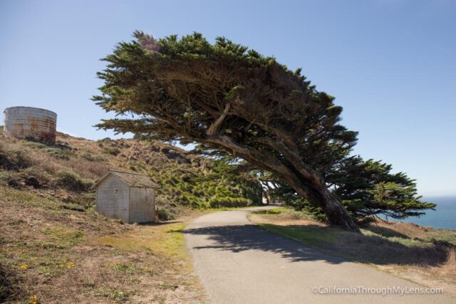 point-reyes-lighthouse-3