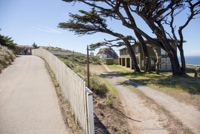 point-reyes-lighthouse-4