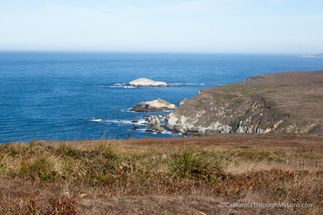 tomales-point-hike-14