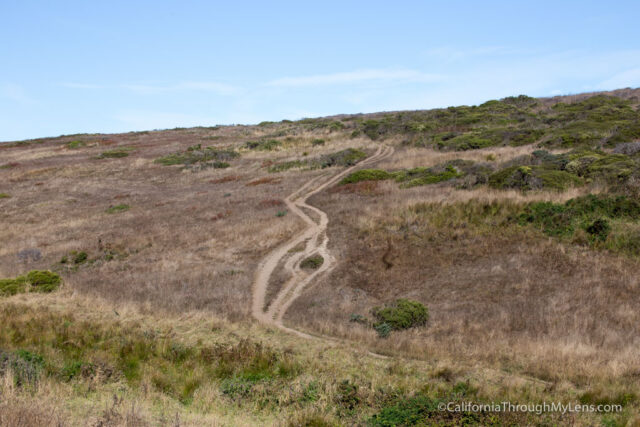 tomales-point-hike-17