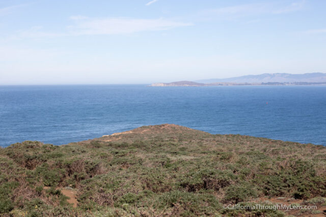 tomales-point-hike-22