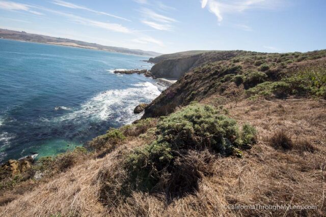 tomales-point-hike-26
