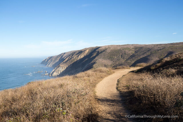 tomales-point-hike-4
