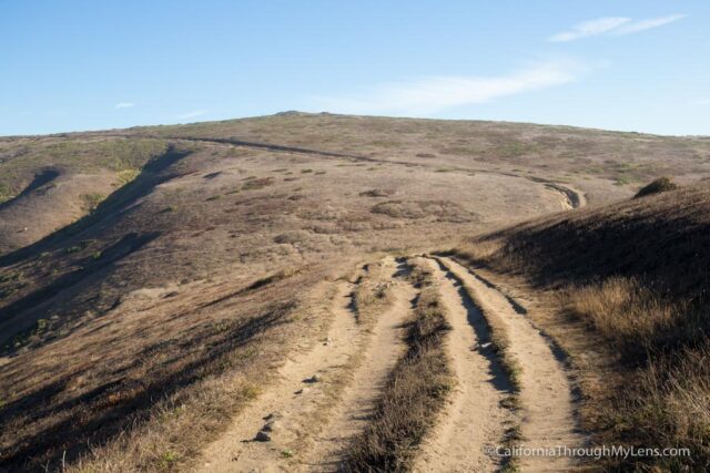 tomales-point-hike-5