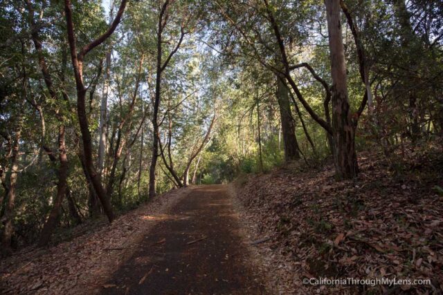 jack-london-state-historic-park-18