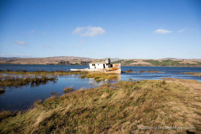 point-reyes-shipwreck-3