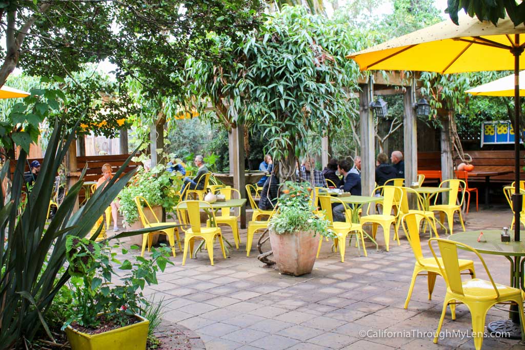 Sunflower Cafe Great Breakfast in Sonoma Plaza California Through My