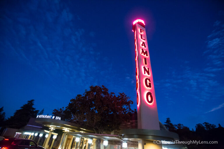 Flamingo Conference Resort & Spa: A Great Hotel in Santa Rosa