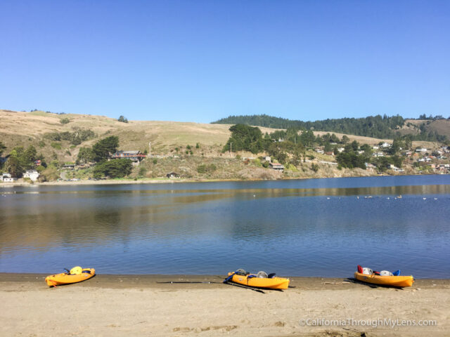 kayaking-russian-river-9