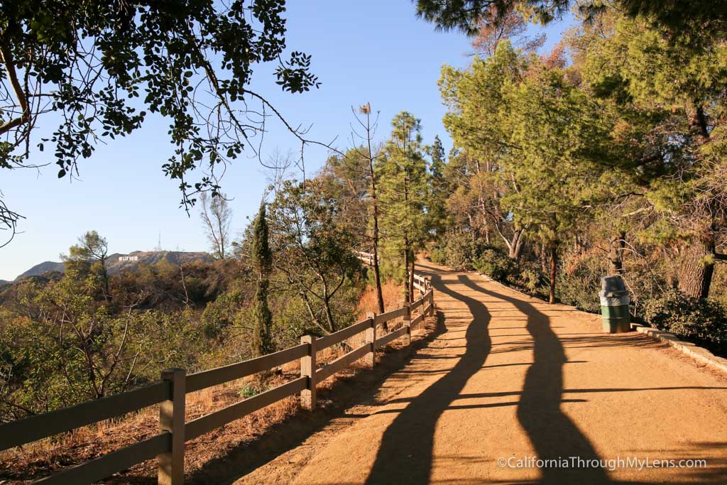 Mt Hollywood Trail: Hiking Above Griffith Observatory and Downtown LA ...