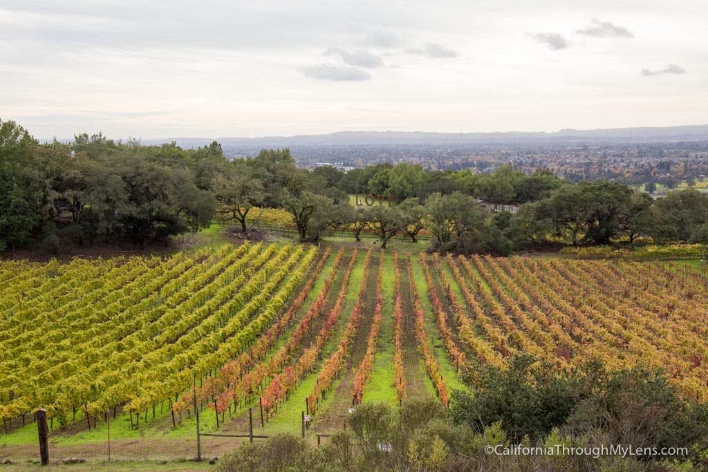 Paradise Ridge Winery In Santa Rosa: Sculpture Gardens, Wine Tasting ...