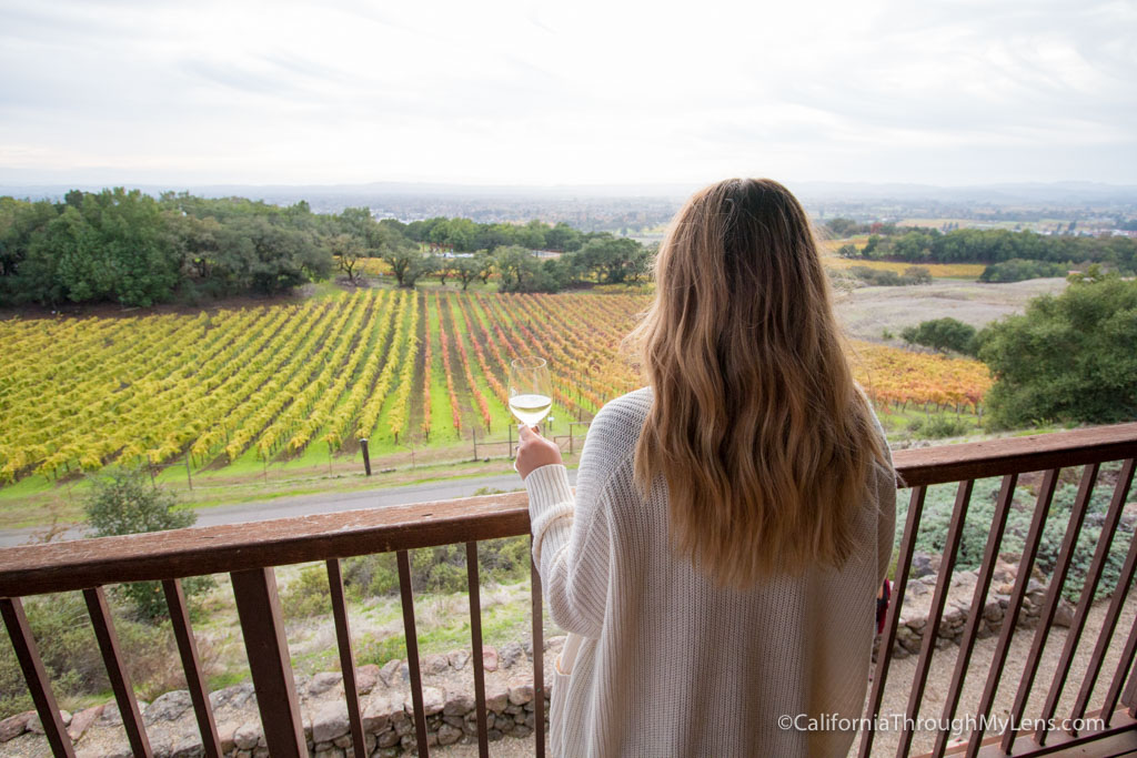 Paradise Ridge Winery In Santa Rosa Sculpture Gardens, Wine Tasting