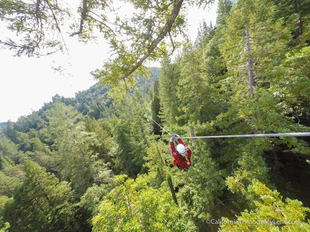 Ziplining in the Redwoods with Sonoma Canopy Tours California