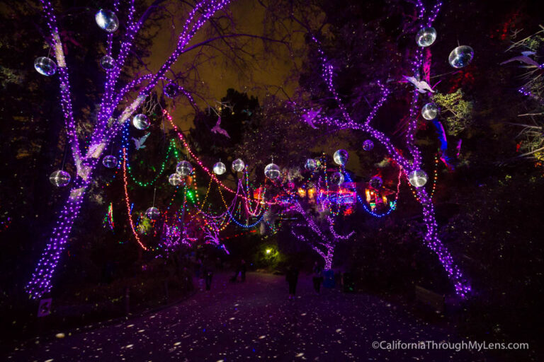 LA Zoo Lights: Christmas Lights at the Los Angeles Zoo - California ...