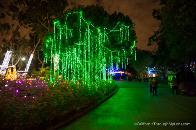 la-zoo-lights-6