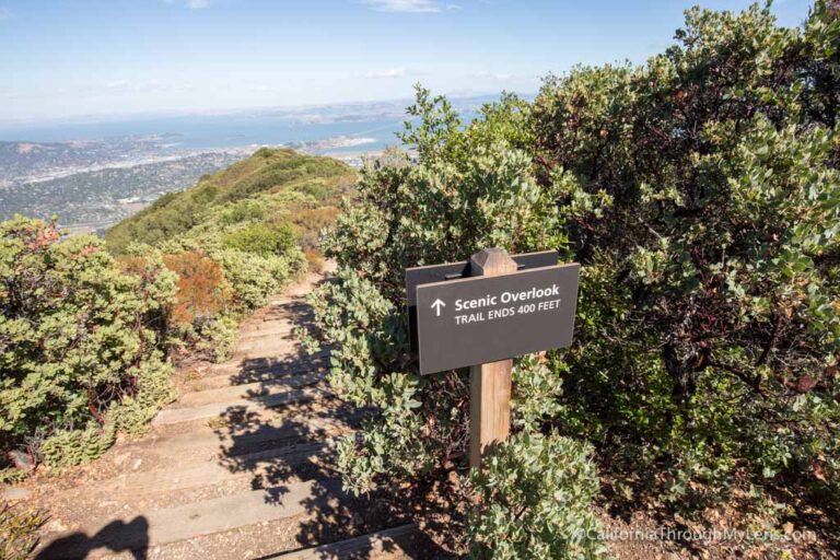 Mount Tamalpais Verna Dunshee Trail & Fire Lookout from East Peak