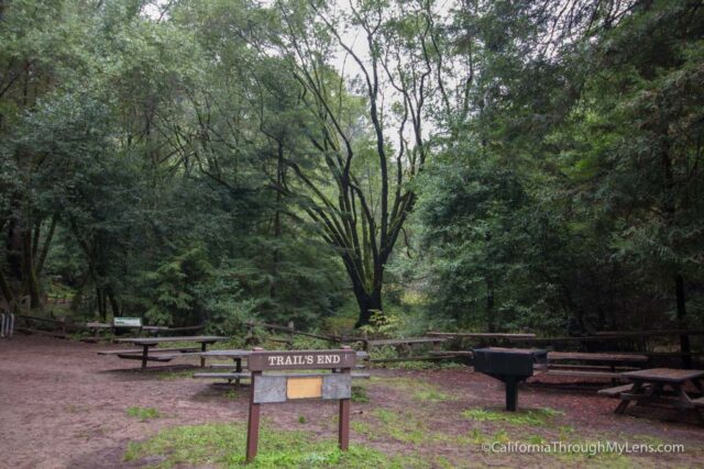 redwood-regional-park-stream-trail-10