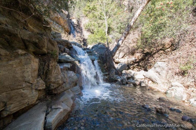 Black Star Canyon Falls: One of Southern California's Best & Most ...