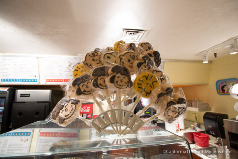 home instead santa rosa ca