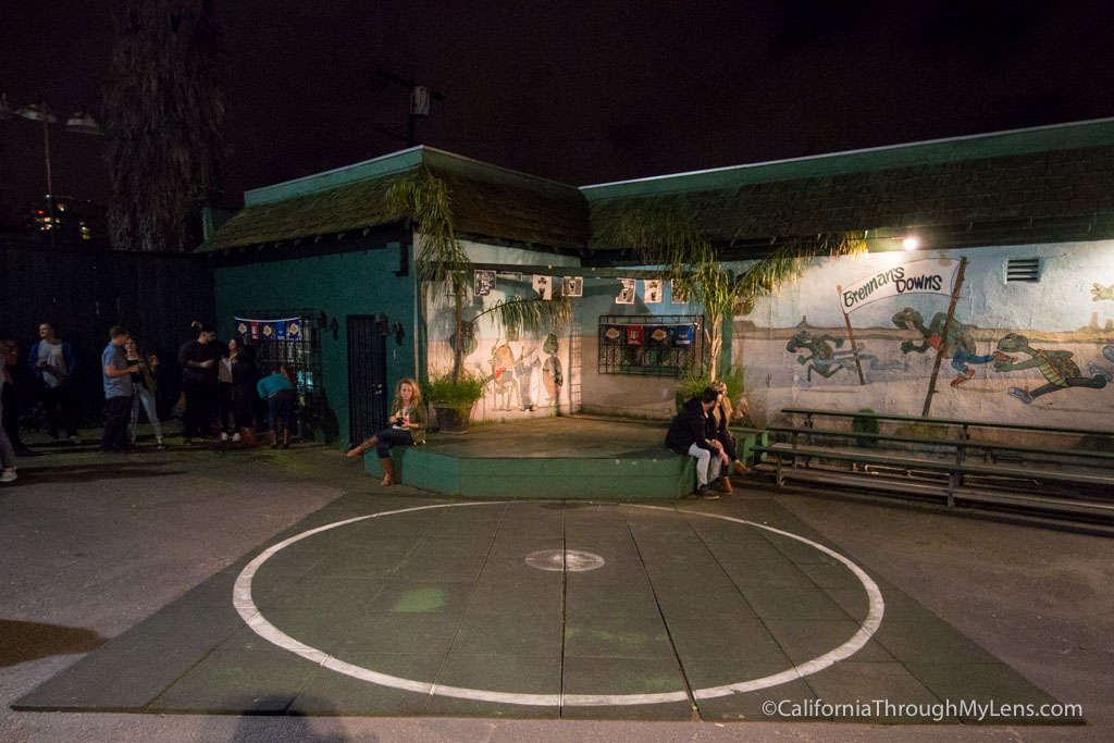 Turtle Racing at Brennans in Marina Del Rey - California Through My Lens