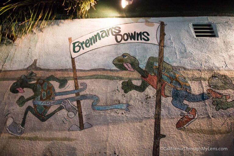 Turtle Racing at Brennans in Marina Del Rey