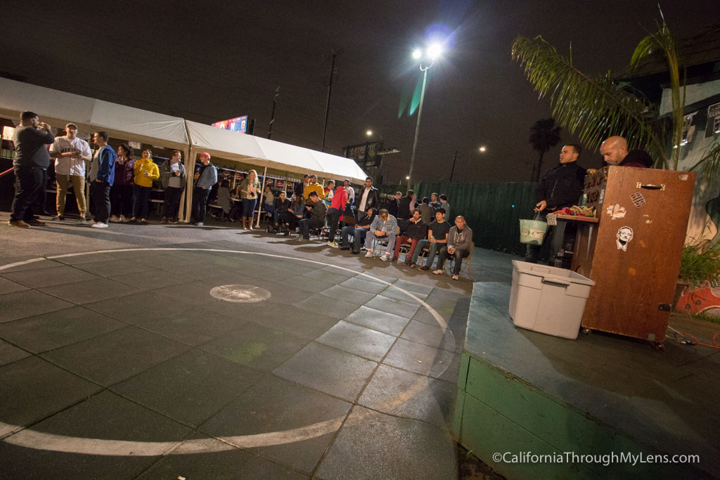 Turtle Racing at Brennans in Marina Del Rey - California Through My Lens
