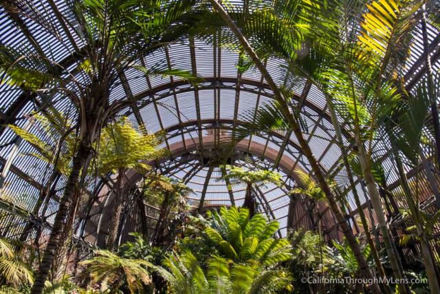 Botanical Gardens Building In Balboa Park San Diego California