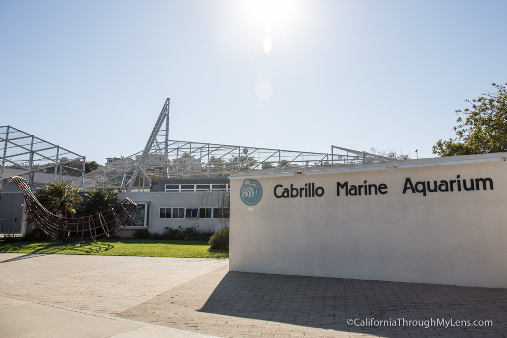 Cabrillo Aquarium: A Fun Family Friendly Aquarium in San Pedro ... - Cabrillo Marine Aquarium 1